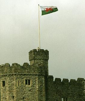 Welsh flag